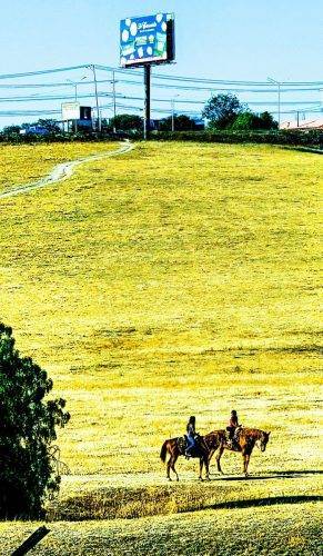 CDM horse riders filter contrast punch 2025-07-13 17.32.36_edited